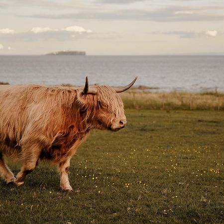 Clover Cottage Countryside Retreat With Sea Views Crail Eksteriør bilde