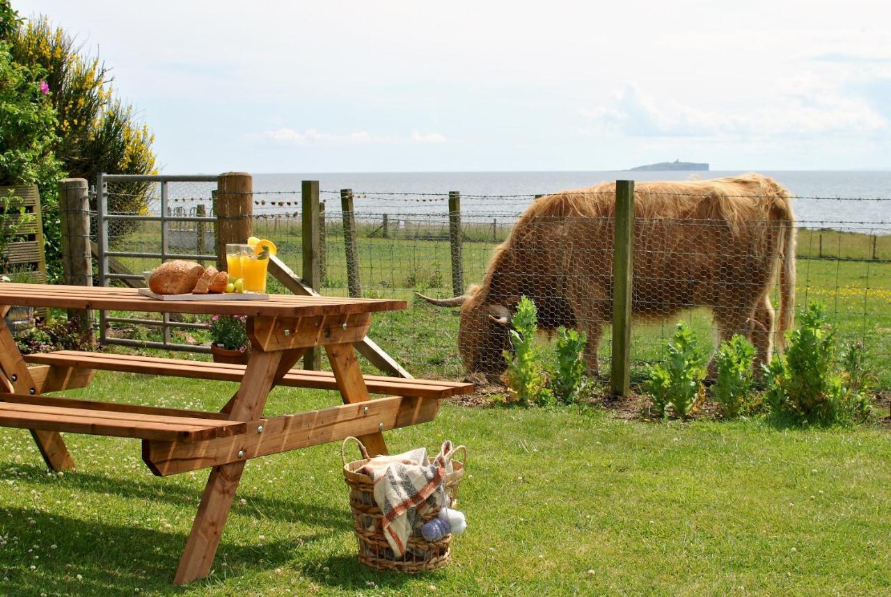Clover Cottage Countryside Retreat With Sea Views Crail Eksteriør bilde