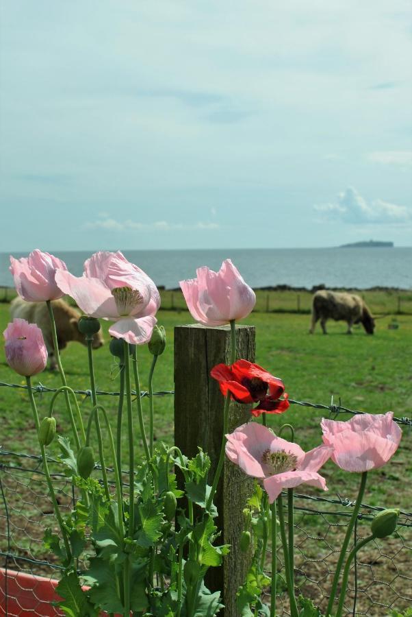 Clover Cottage Countryside Retreat With Sea Views Crail Eksteriør bilde
